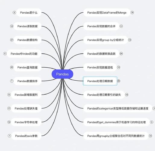Python 数据分析源码实用在哪？Pandas 库基础与数据预处理要点