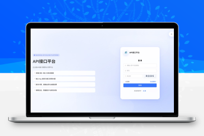 最新楠枫解析计费系统源码 Java+Vue版本