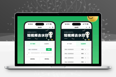 2026最新去水印小程序源码 v1.6.5 带流量主